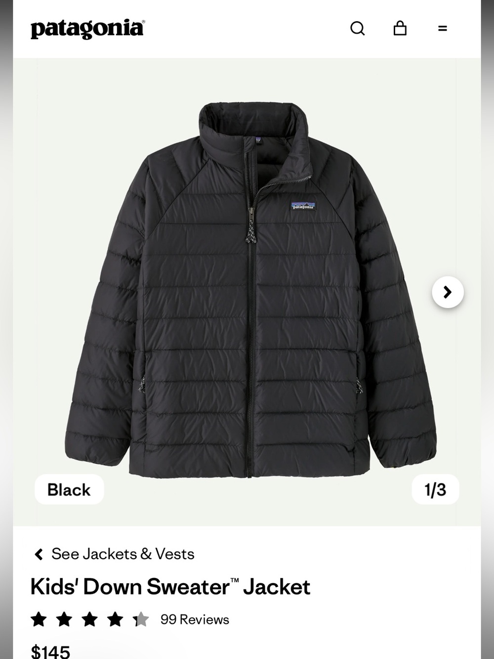 Patagonia Kids Black Puffer Coat with Logo 7/8